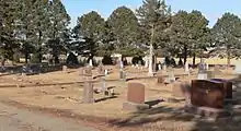 Small cemetery surrounded by conifers