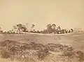 St Anne's Church and surrounding area in Ryde in 1863 at the time the Blaxland family lived at the Hermitage