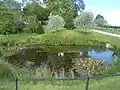 The pond outside St Mary's church, Forthampton