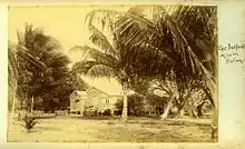 Buildings on stilts, behind trees