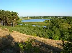 Łęgnowska Valley. A view from an inland dune to the lowland near Makowiska