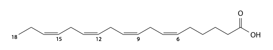 stearidonic acid structure