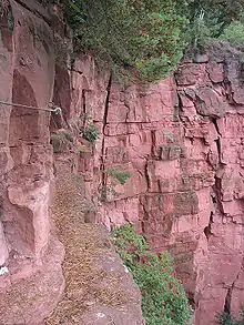 Climbing path at the Breuberg-Hainstadt quarry