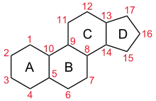 Carbon numbering in gonane