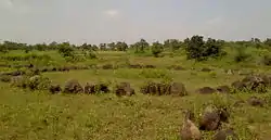 Stone Circle