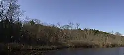 Stony Brook Reservation Parkways, Metropolitan Park System of Great Boston MPS