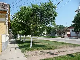 Street in Giarmata