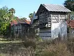 Weeds and vines around the abandoned buildings