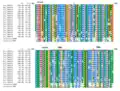 TMEM19 Strict Orthologs (Vertebrates) Multiple Sequence Alignment. Sequences were aligned using ClustalO, transmembrane regions and exons were boxed. Consensus of amino acids are shown at 100% and 90%. Amino acids are colored based on their physicochemical properties.