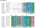 TMEM19 Strict Orthologs (Vertebrates) Multiple Sequence Alignment. Sequences were aligned using ClustalO, transmembrane regions and exons were boxed. Consensus of amino acids are shown at 100% and 90%. Amino acids are colored based on their physicochemical properties.