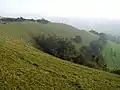 Lynchets on Coombe Hill, Stroud