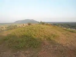 Buddhist Stupa Mound at Gudiwada Dibba