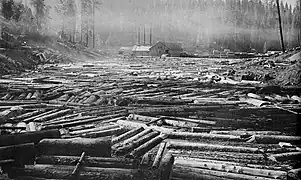 A "full deck" of logs awaiting the mill.