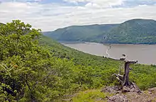 A view of a wide river from high above. In the background mountains rise up from the river; one on the right has a road cut into its side. In the foreground is a gnarled wooden tree