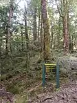 Sugarloaf and Rockburn Tracks