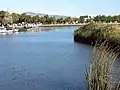 Suisun Slough as seen from Solano Yacht Club