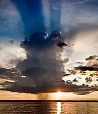 Cumulonimbus calvus against sunlight with rain falling beneath it as a rain shaft.