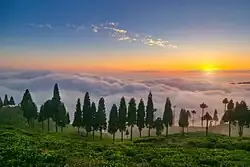 A scene of sunset from a tea garden at Hile, Dhankuta