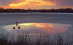 Sunset over the pond at Bedfords Park