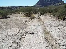 Wagon Wheel Tracks (1882) in Pinal City