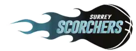 Surrey Scorchers logo