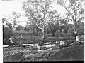 Suspension bridge over Willochra Creek, Melrose