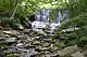 Wide waterfall through trees