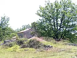 Chapel near Mali Podol