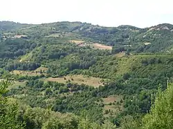 Svirce, 2017 (vegetation covers abandoned homes since the 1999-2001 conflict)