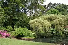 a view of the park with numerous types of trees and shrubs