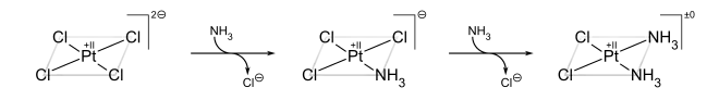 Synthesis of cisplatin using the trans effect