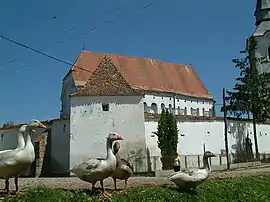 13th Century UNESCO World Heritage fortified Unitarian Church, and some geese