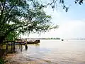 Tourist boats dock at Con Phung wharf on Tiền River