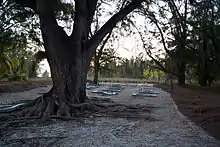 The cemetery on Juan de Nova Island.