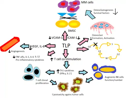 Mechanism of action