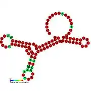 TLS-PK1:  Secondary structure taken from the Rfam database. Family RF01075. Derived from Pseudobase PKB00138 PKB00164