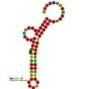 TLS-PK2:  Secondary structure taken from the Rfam database. Family RF01077. Derived from Pseudobase PKB00139 PKB00057