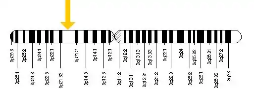 TREX1 Gene Location