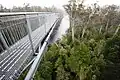 View from the cantilever bridge on the Tahune Forest AirWalk.