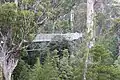 View of the Tahune Forest AirWalk gantry winding through the trees.