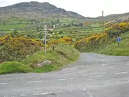 Trail near Slieve Foy (Carlingford Mountain)