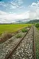 Decommissioned railway tracks by the Huadong Highway in Ruisui Township