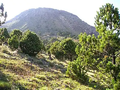 Volcán Tajumulco is the highest summit in Guatemala and all of Central America.