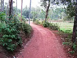 Velipara footpath