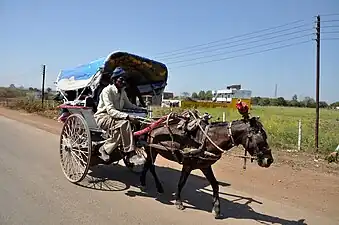 Tanga on the Indian National Highway 86 in India.