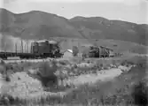 Trains hauled by Heisler steam locomotives crossing at Kopakorahi