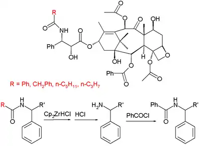 Taxol Semi Synthesis Taxanes