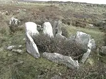 Chamber of the court-cairn at Teergonean