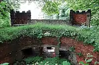 Inside the overgrown circular pit which contained the bear