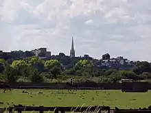 A wooded urban landscape with a church tower as one of the buildings emerging above the trees. The tower is surmounted by a spire that rises well above all other buildings on the hillside.